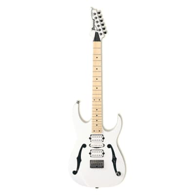 Ibanez PGM300 Paul Gilbert Signature with Lo-Pro Edge Tremolo 1991