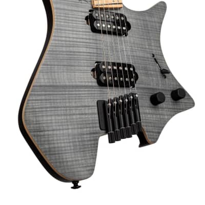Strandberg Guitars Boden Standard NX 6  Trans Black image 1