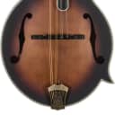 Washburn Americana M118SW F Style Mandolin - Vintage Natural