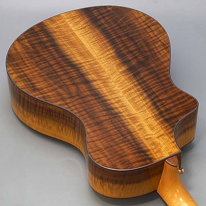 Layered Rosewood Acoustic Guitar, Veneer Body Wood