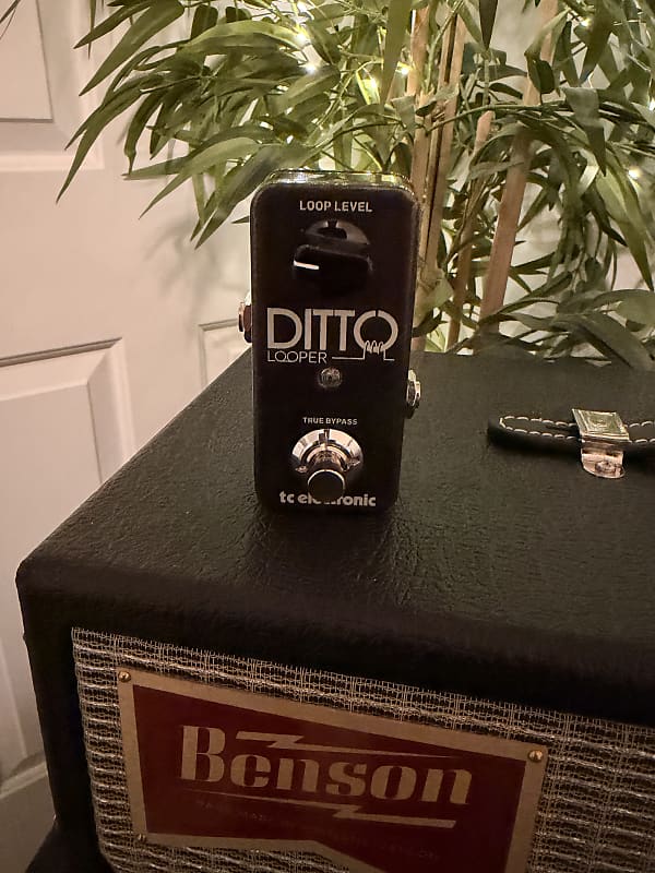 TC Electronic Ditto Looper
