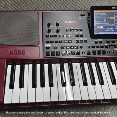 Korg PA1000 61-Key ✅ Professional Keyboard Arranger✅ Cleaned & Full Checked ✅ image 3
