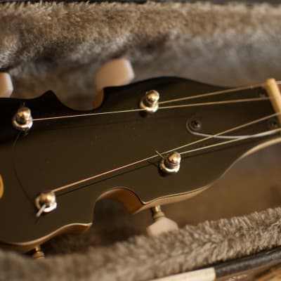 Gold Tone GT-Series AC-5 Banjo image 6