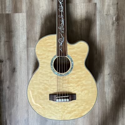 Michael Kelly Acoustic Bass Guitar - DragonflyFLN5 - 5 String Fretless - Hard Case - Lowest Price image 2
