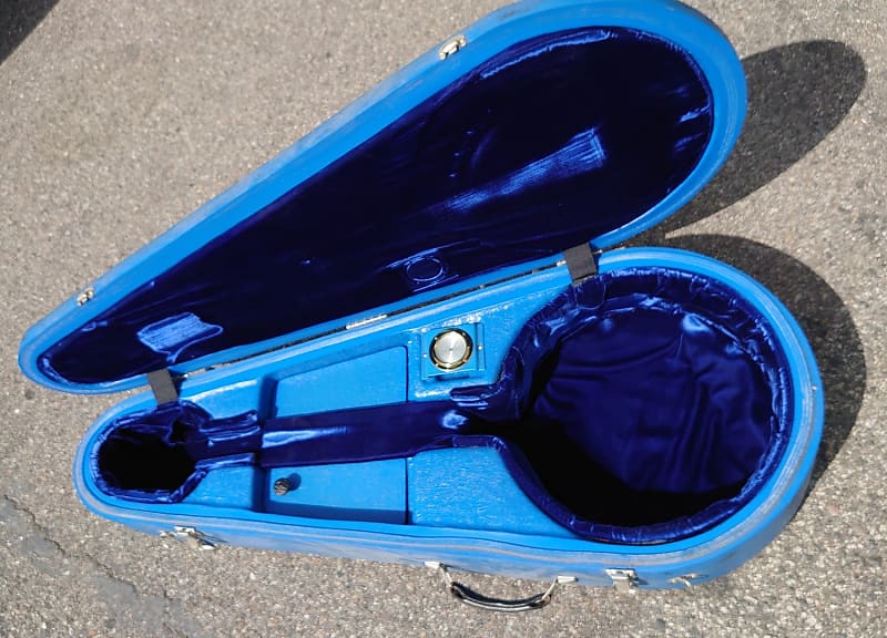 Carter Vintage - Mark Leaf Banjo Case 2000s, Black | Carter