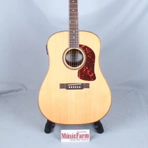 Washburn dk20t hot sale