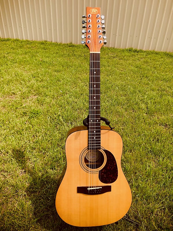 J.B. Player JB2012 12 String Acoustic Guitar with Gig Bag Reverb