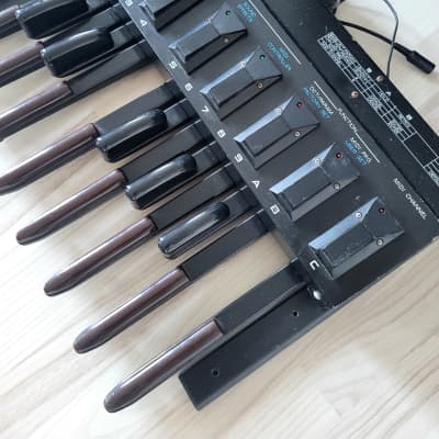 Roland PK-5A Dynamic MIDI Pedal Controller 2006 - 2012 - Black+Roland PK5 image 2