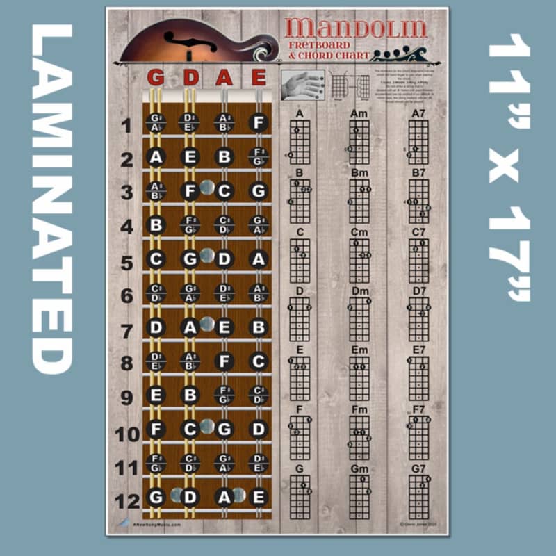  A New Song Music Laminated Guitar Chord & Fretboard Note Chart  & Picks Instructional Easy Poster for Beginners Chords & Notes 4 PICK  11x17