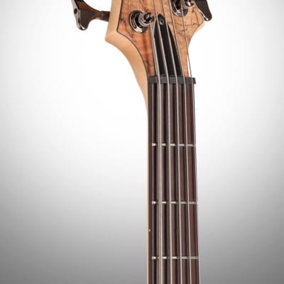 ESP LTD B205SM Electric Bass, 5-String, Natural Satin image 8