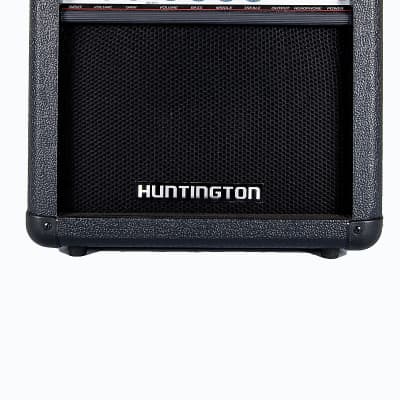 Ibanez Troubadour TA25 Acoustic Guitar Amp w Mic Input + EFX