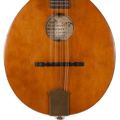 Circa 1970s Flatiron Model 1 Mandolin Left-Hand Conversion image 8