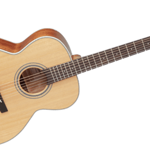 Takamine GN20 Acoustic Guitar (GN20) image 2