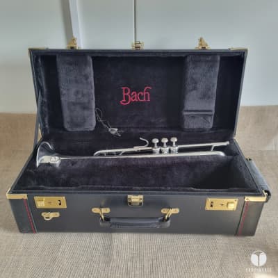 Vincent Bach Stradivarius 37 G GOLDBRASS bell trumpet GAMONBRASS case mouthpiece image 2