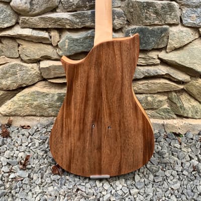 Malinoski Tulip #452 Luthier Built Handwound HB Passive Piezo Beautiful Guitar image 3