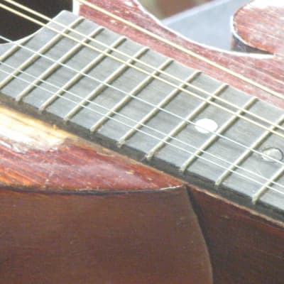 Vintage Regal #107 Reverse Scroll Mandolin 1920's image 8