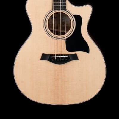 Taylor 314ce with V-Class Bracing