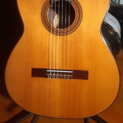 Vintage Orlando 304 Classical Acoustic Guitar MIJ Solid Top image 3