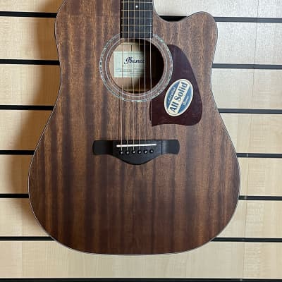 Ibanez AW1040CE-OPN Open Pore Natural Artwood Acoustic Guitar image 2