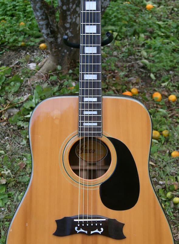 greco 401 ヘリテージ model フジゲン グレコ Greco ヘリテイジモデル