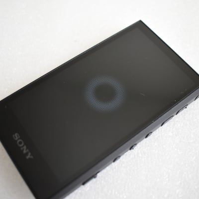 Sony Walkman A Series NW-A306 32GB Hi-Res Music Player NOT WORKING