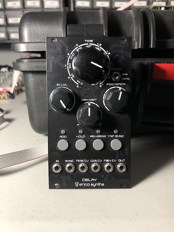 Erica Synths DIY Delay Reverb