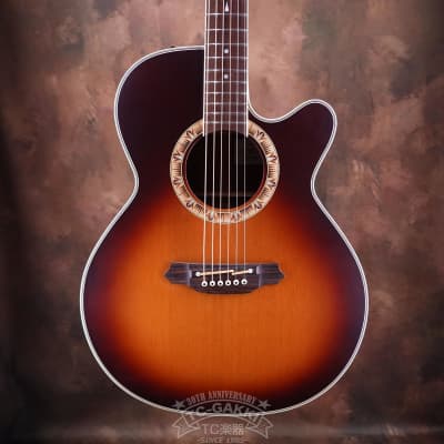 2000's Takamine NPT-510 | Reverb