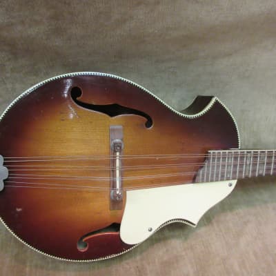 1950's Kay KM 70 8 String Mandolin Sunburst Great Shape Loud ! Pro Set Up Free US Shipping! image 5