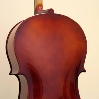Premium Used Cello 4/4 Size, Amati - CE-44-137 image 6