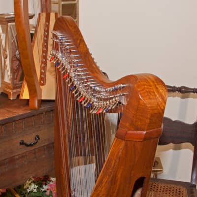 Roosebeck HMNA5CSP 29-String Ministrel Harp Chelby Levers Sheesham 5-Panel w/Pedestal,Tuning, String image 4