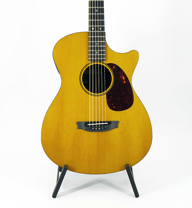 RainSong OM1000NZ アコースティックギター Rainsong OM1000 Carbon Fiber Orchestra Model Acoustic
