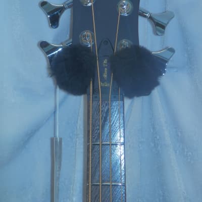 Warwick RockBass Alien Deluxe Acoustic-Electric Bass with gig bag New image 7