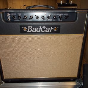 Bad Cat Hot Cat 30R 30-Watt 1x12" Guitar Combo with Reverb