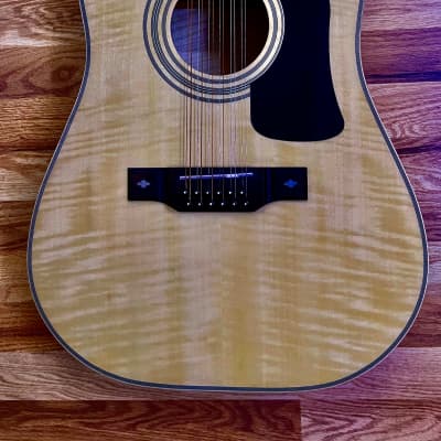 John Hiatt's Washburn Timber Ridge D1712CE 12-String Acoustic with XLR / The Guitar From The Ad image 3