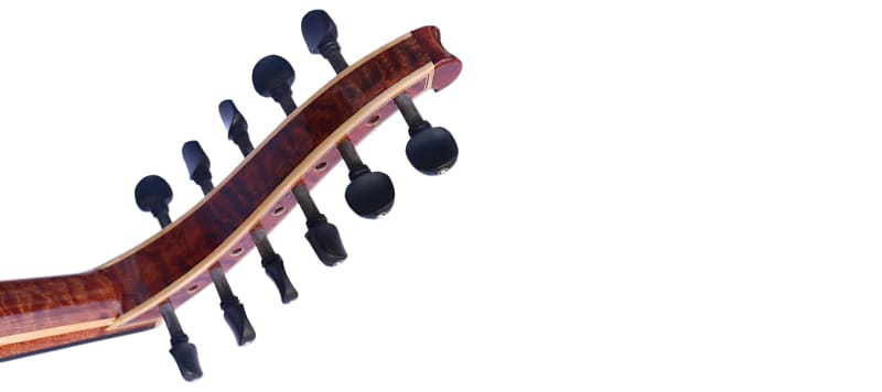 Professional Arabic Electric Oud Instrument AOH-6 | Special Oud String  Musical Instrument