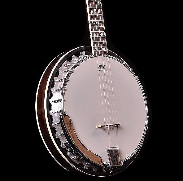 Oscar Schmidt OB5 5-String Electric Banjo image 1