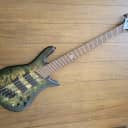 Spector NS Dimension 5 2020 Haunted Moss (Price includes shipping) w/upgraded Hipshot ultralights