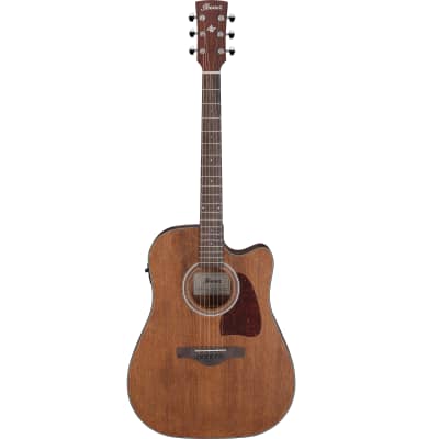 Ibanez AW54CE-OPN Artwood Series Acoustic Electric Guitar Open Pore Natural with Free Setup image 1