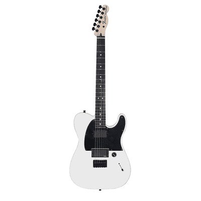 Fender Artist Series Jim Root Signature Telecaster