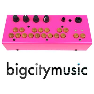 critter and guitari Eyesy video synthesizer | Reverb