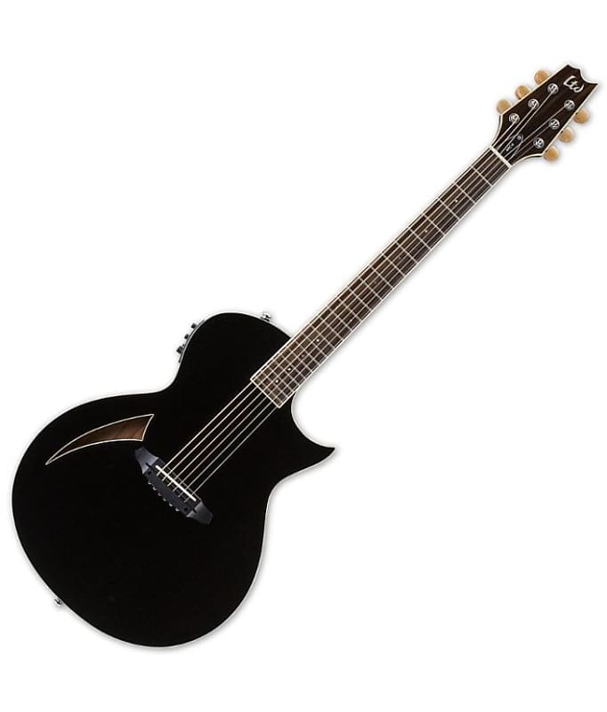 ESP LTD TL-6S Steel String Acoustic Electric Guitar in Black Finish image 1