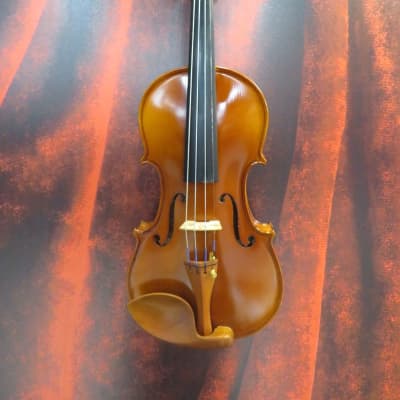Prodigy Violin (Raleigh, NC) image 1
