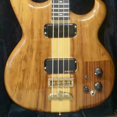 【超希少】Alembic Persuader Fretless エポキシ ALEMBIC SPOILER bass guitars for sale in USA | guitar-list