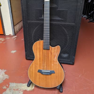 NEW! High Quality Angel Lopez EC3000 Acoustic/Electric Solid Body Classical Guitar - Looks/Plays/Sounds Great! for sale