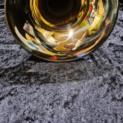 Eterna by Getzen Posaune / trombone closed wrap incl. Case image 6