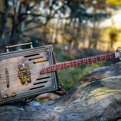 Immagine HighBird Handcrafted Instruments - Northern Goshawk - Custom 3 String Acoustic/Electric Cigar Box Guitar (CBG) - 2022 - 1