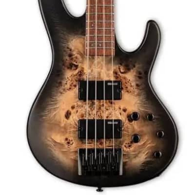 2000s ESP-GrassRoots G-FR-58B (ESP Forest STD / LTD F-104