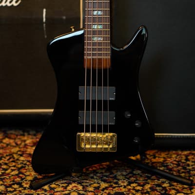 SPECTOR Rex 5 Bass Guitars for sale in the USA | guitar-list