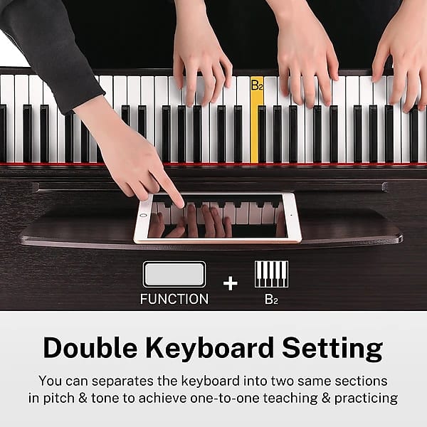 鍵盤楽器 paradiddle MATRIXSYNTH: Zendrum ZX Midi Controller