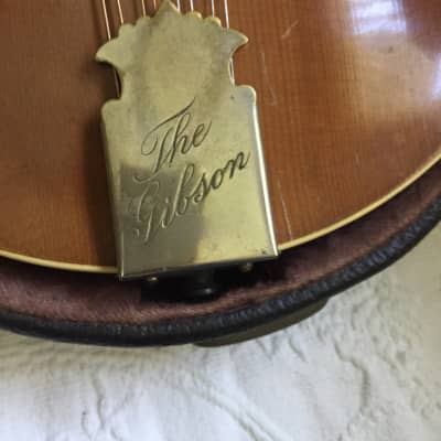 Gibson Mandolin vintage 1896 Light front dark back imagen 3